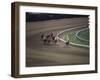 Nine Race Horses-null-Framed Photographic Print