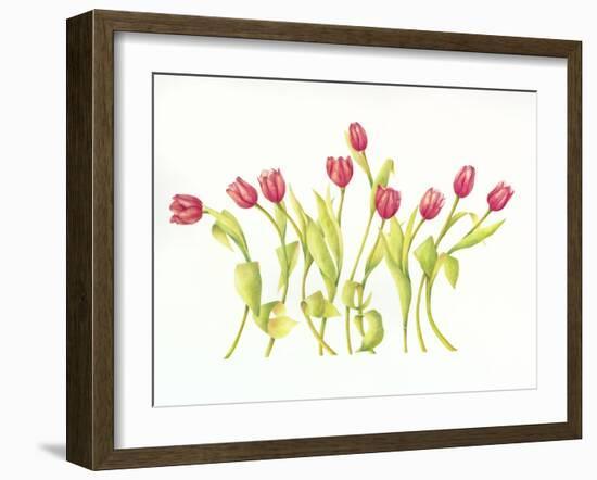 Nine Tulips Twirling-Deborah Kopka-Framed Giclee Print