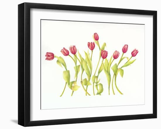 Nine Tulips Twirling-Deborah Kopka-Framed Giclee Print