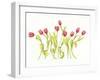 Nine Tulips Twirling-Deborah Kopka-Framed Giclee Print