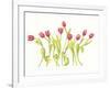 Nine Tulips Twirling-Deborah Kopka-Framed Giclee Print