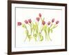 Nine Tulips Twirling-Deborah Kopka-Framed Giclee Print