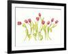 Nine Tulips Twirling-Deborah Kopka-Framed Giclee Print