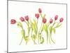 Nine Tulips Twirling-Deborah Kopka-Mounted Giclee Print