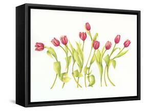 Nine Tulips Twirling-Deborah Kopka-Framed Stretched Canvas