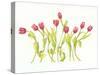 Nine Tulips Twirling-Deborah Kopka-Stretched Canvas
