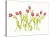 Nine Tulips Twirling-Deborah Kopka-Stretched Canvas