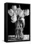 Nine Tulips-Sandra Willard-Framed Stretched Canvas