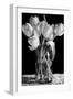 Nine Tulips-Sandra Willard-Framed Giclee Print