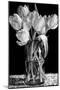 Nine Tulips-Sandra Willard-Mounted Giclee Print