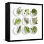 Nine White Dishes Each Containing a Different Fresh Herb-Dave King-Framed Stretched Canvas