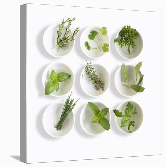 Nine White Dishes Each Containing a Different Fresh Herb-Dave King-Stretched Canvas