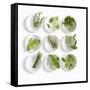 Nine White Dishes Each Containing a Different Fresh Herb-Dave King-Framed Stretched Canvas