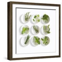 Nine White Dishes Each Containing a Different Fresh Herb-Dave King-Framed Photographic Print