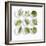 Nine White Dishes Each Containing a Different Fresh Herb-Dave King-Framed Photographic Print