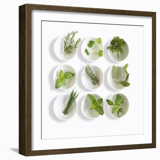 Nine White Dishes Each Containing a Different Fresh Herb-Dave King-Framed Photographic Print