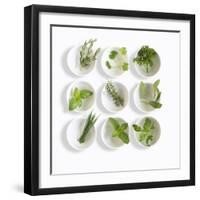 Nine White Dishes Each Containing a Different Fresh Herb-Dave King-Framed Photographic Print