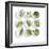 Nine White Dishes Each Containing a Different Fresh Herb-Dave King-Framed Photographic Print