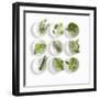 Nine White Dishes Each Containing a Different Fresh Herb-Dave King-Framed Photographic Print