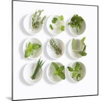 Nine White Dishes Each Containing a Different Fresh Herb-Dave King-Mounted Photographic Print