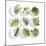 Nine White Dishes Each Containing a Different Fresh Herb-Dave King-Mounted Photographic Print