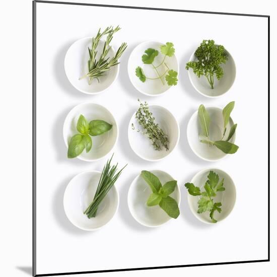 Nine White Dishes Each Containing a Different Fresh Herb-Dave King-Mounted Photographic Print