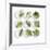 Nine White Dishes Each Containing a Different Fresh Herb-Dave King-Framed Photographic Print