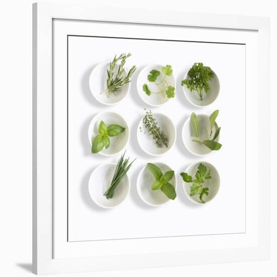 Nine White Dishes Each Containing a Different Fresh Herb-Dave King-Framed Photographic Print