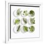 Nine White Dishes Each Containing a Different Fresh Herb-Dave King-Framed Photographic Print