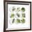 Nine White Dishes Each Containing a Different Fresh Herb-Dave King-Framed Photographic Print