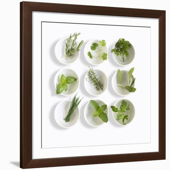 Nine White Dishes Each Containing a Different Fresh Herb-Dave King-Framed Photographic Print