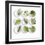 Nine White Dishes Each Containing a Different Fresh Herb-Dave King-Framed Photographic Print