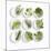 Nine White Dishes Each Containing a Different Fresh Herb-Dave King-Mounted Photographic Print