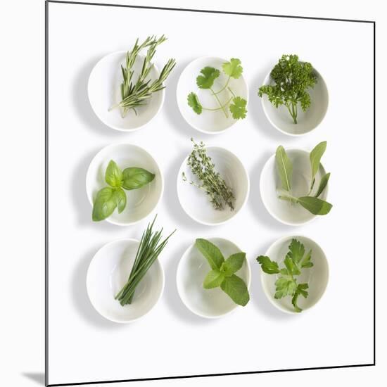 Nine White Dishes Each Containing a Different Fresh Herb-Dave King-Mounted Photographic Print