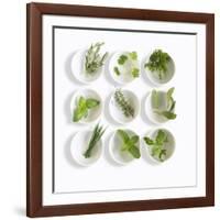 Nine White Dishes Each Containing a Different Fresh Herb-Dave King-Framed Photographic Print