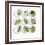 Nine White Dishes Each Containing a Different Fresh Herb-Dave King-Framed Photographic Print