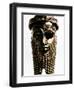 Nineveh: Bronze Head-null-Framed Photographic Print