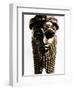 Nineveh: Bronze Head-null-Framed Photographic Print