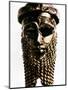 Nineveh: Bronze Head-null-Mounted Photographic Print