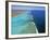 Ningaloo Reef, Ningaloo Marine Park, Western Australia, Australia-Doug Pearson-Framed Photographic Print