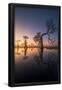 Essential Black