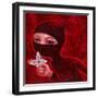 Ninja II-Aaron Jasinski-Framed Art Print