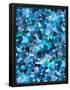 Essential Black