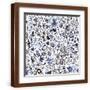 Brown Frame