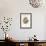 Ninox Odiosa - New Britain Hawk-Owl-John Gould-Framed Art Print displayed on a wall