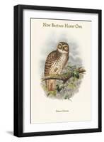 Ninox Odiosa - New Britain Hawk-Owl-John Gould-Framed Art Print