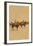 Ninth U.S. Cavalry--Famous Colored Regiment--Draw Sabers!-Strohmeyer & Wyman-Framed Art Print