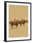 Ninth U.S. Cavalry--Famous Colored Regiment--Draw Sabers!-Strohmeyer & Wyman-Framed Art Print