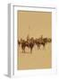 Ninth U.S. Cavalry--Famous Colored Regiment--Draw Sabers!-Strohmeyer & Wyman-Framed Art Print