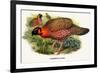 Nipaulese Horned Pheasant-Birds Of Asia-John Gould-Framed Art Print
